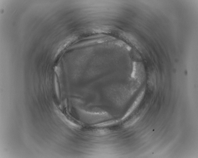 X0000071860402200607211922