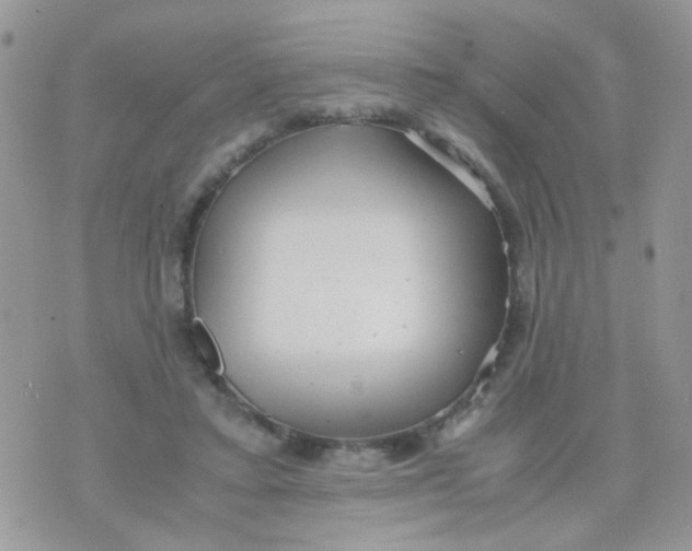 X0000071860403200607211922