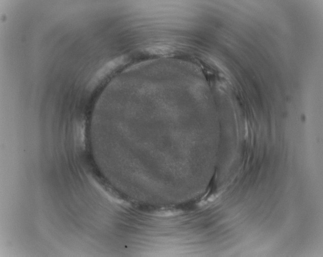 X0000071860404200607211922