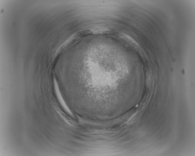 X0000071860405200607211922