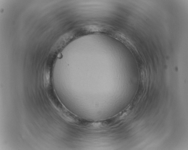 X0000071860406200607211922