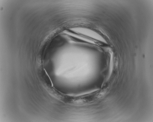 X0000071860407200607211922