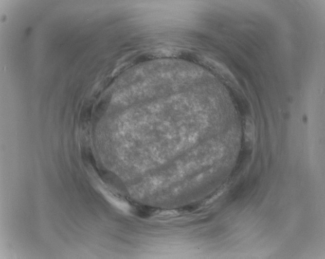 X0000071860409200607211922