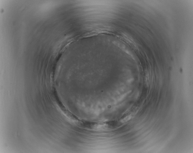 X0000071860410200607211922