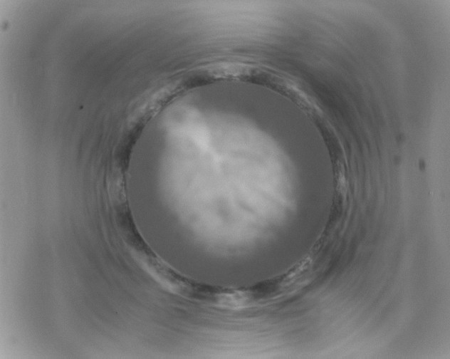 X0000071860411200607211922