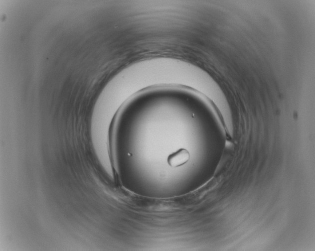 X0000071860412200607211922