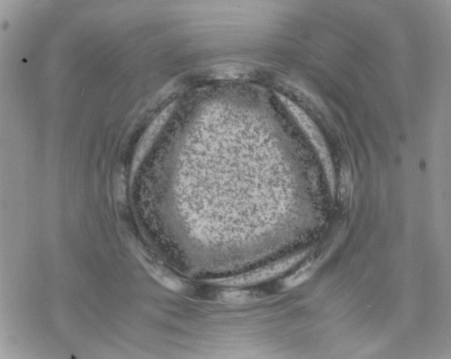 X0000071860413200607211922