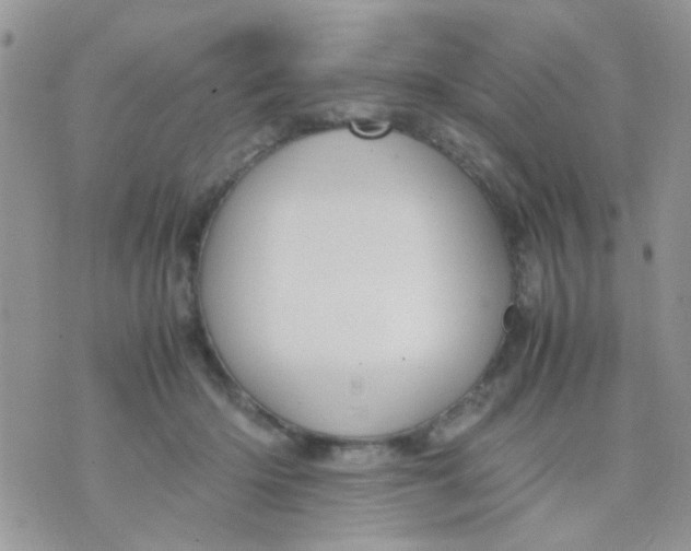 X0000071860414200607211922