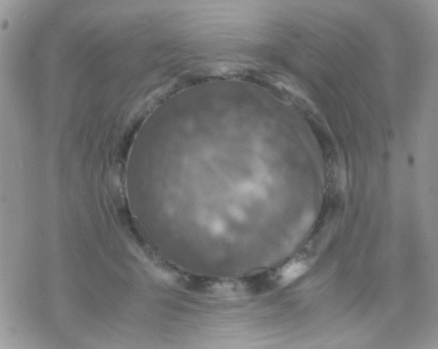 X0000071860415200607211922