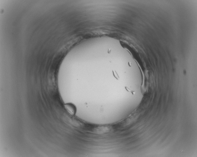 X0000071860418200607211922