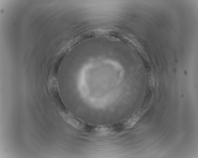 X0000071860419200607211922