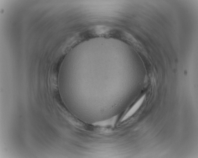 X0000071860421200607211922