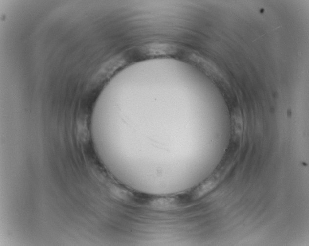 X0000071860422200607211922