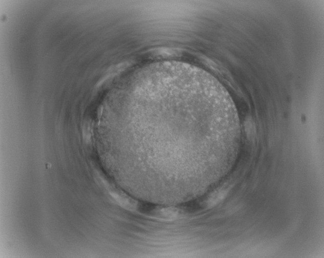 X0000071860423200607211922