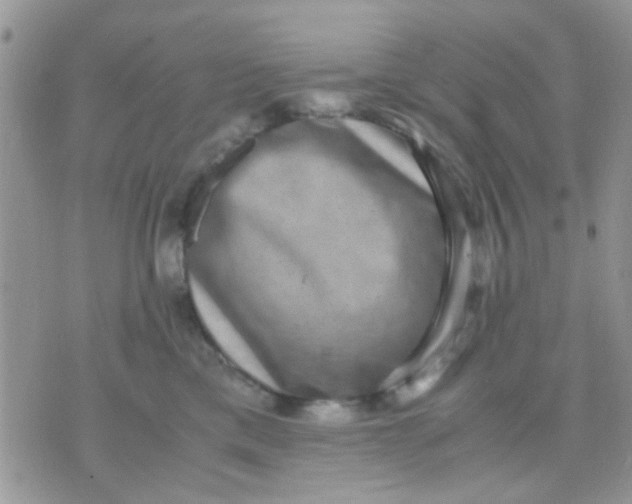 X0000071860425200607211922