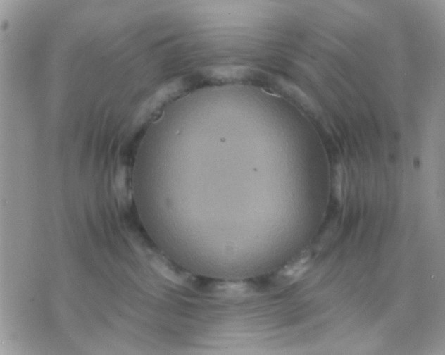 X0000071860428200607211922