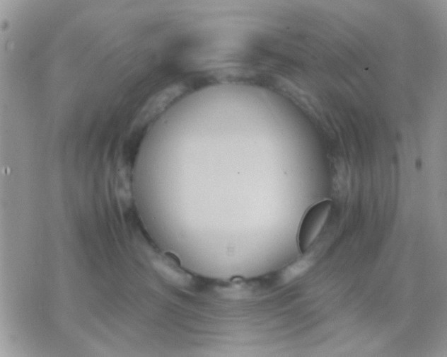 X0000071860430200607211922