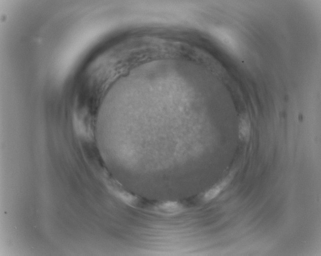 X0000071860431200607211922