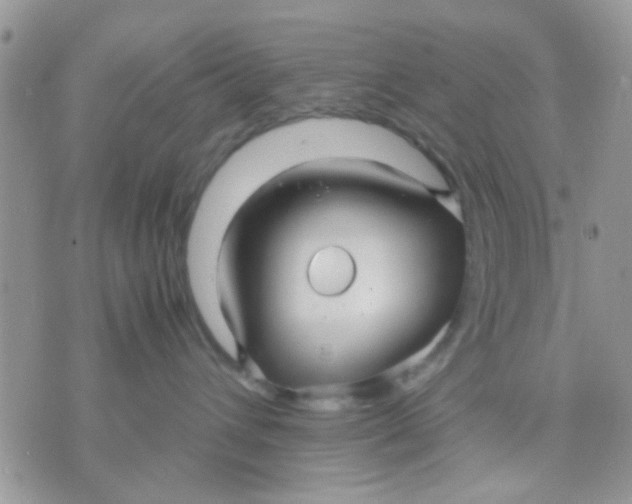 X0000071860432200607211922