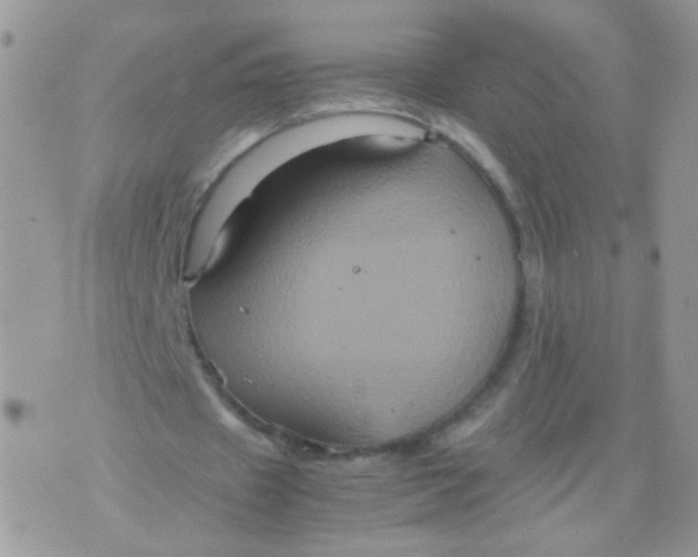 X0000071860433200607211921