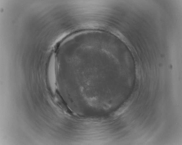 X0000071860434200607211921