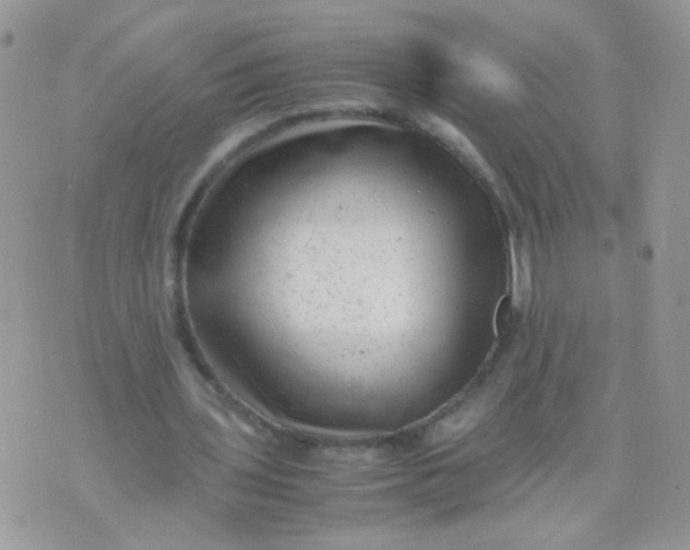 X0000071860435200607211921