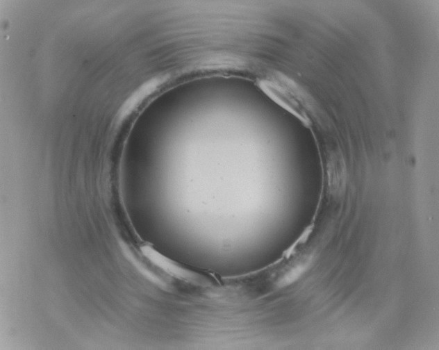 X0000071860436200607211921