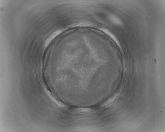 X0000071860437200607211921