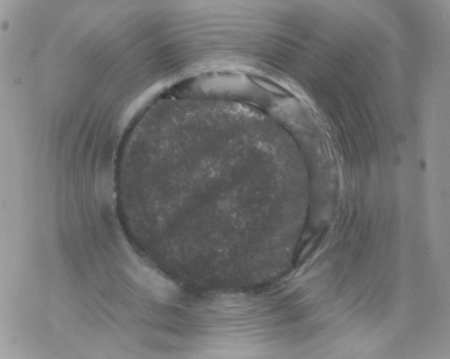 X0000071860438200607211921