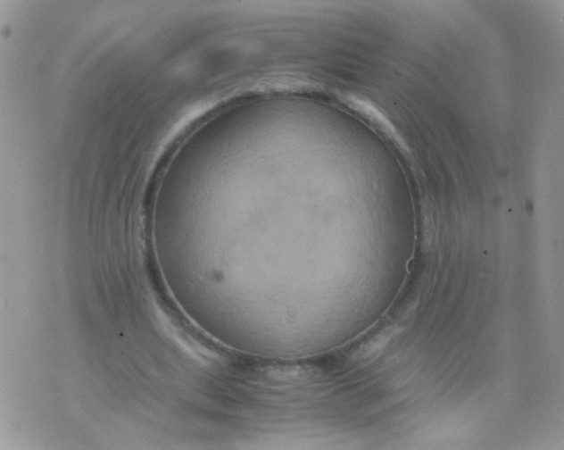 X0000071860439200607211921