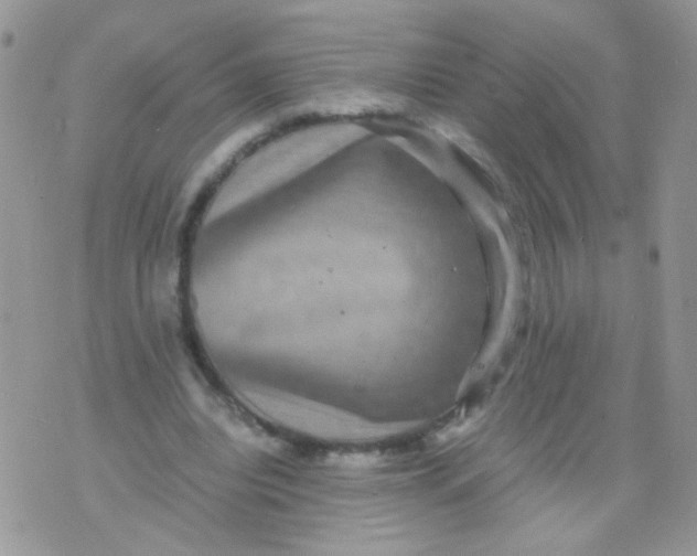 X0000071860440200607211921