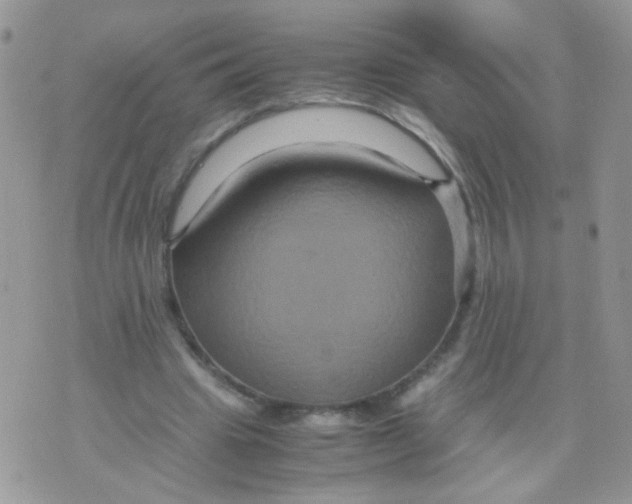 X0000071860441200607211921