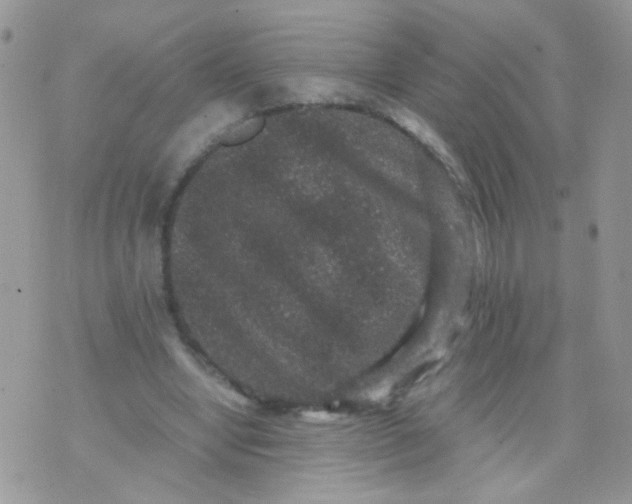 X0000071860442200607211921