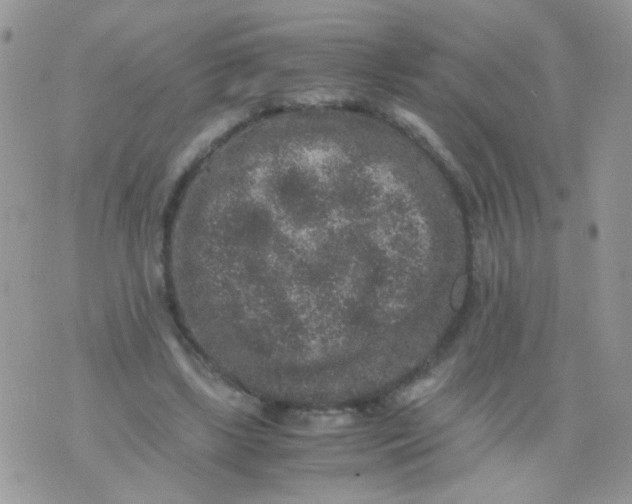 X0000071860443200607211921