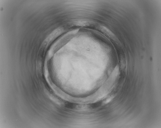 X0000071860444200607211921