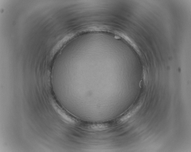 X0000071860445200607211921