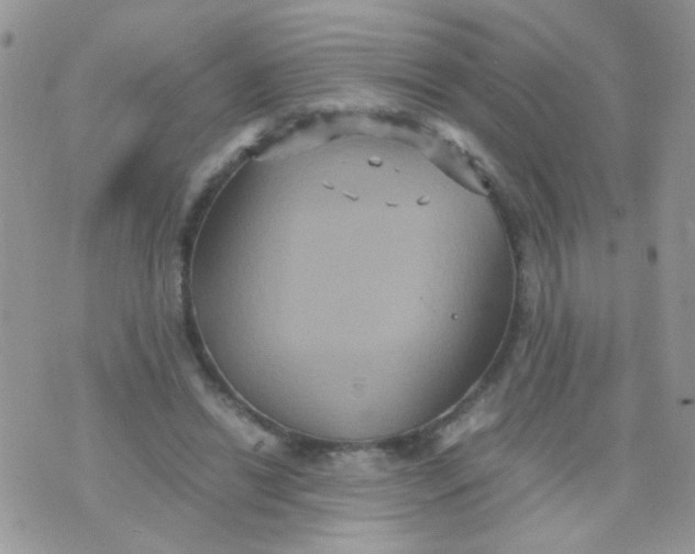 X0000071860446200607211921