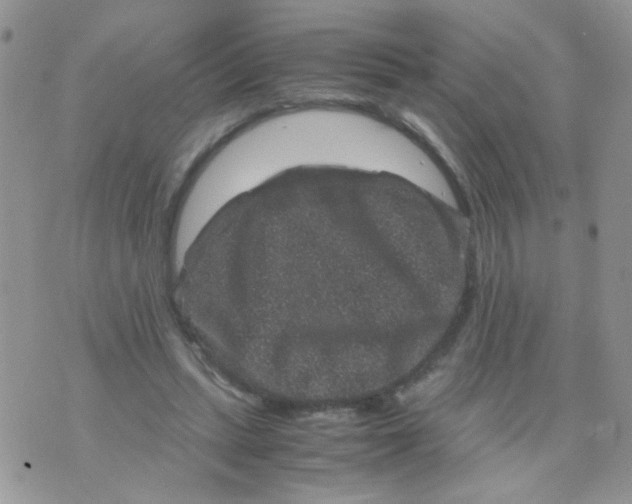 X0000071860447200607211921