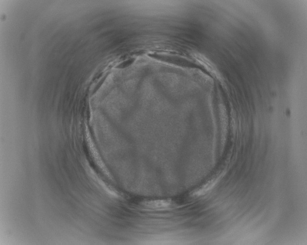 X0000071860449200607211921