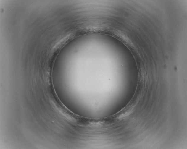 X0000071860450200607211921