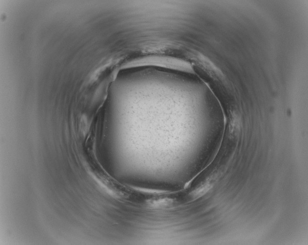 X0000071860452200607211921