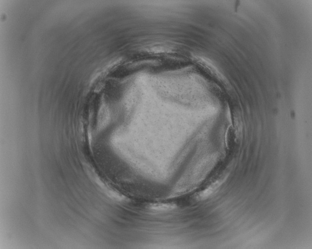 X0000071860453200607211921