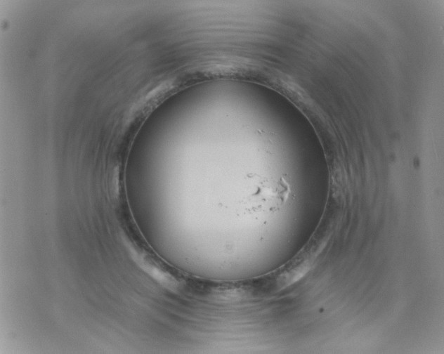 X0000071860454200607211921