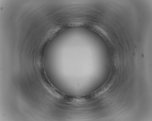 X0000071860455200607211921