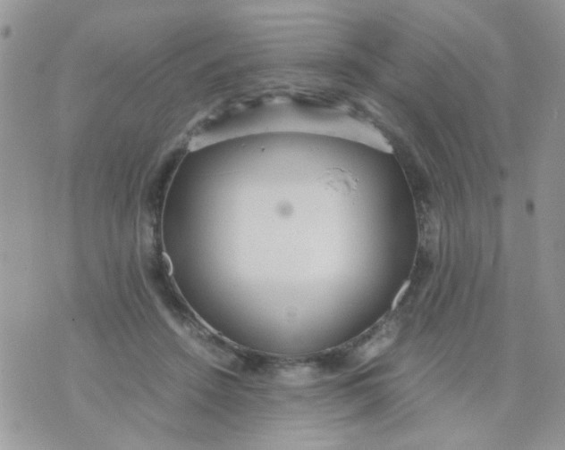 X0000071860456200607211921