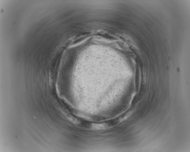 X0000071860457200607211921