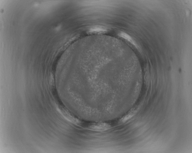 X0000071860459200607211921