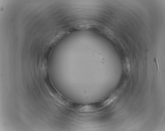 X0000071860460200607211921