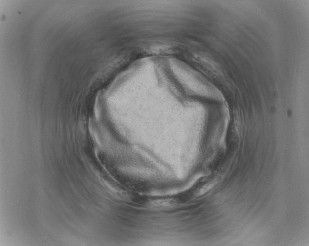 X0000071860461200607211921