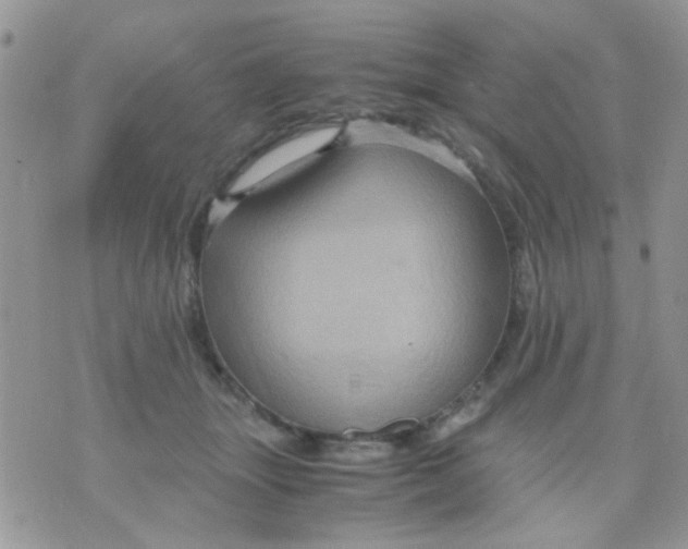 X0000071860463200607211921